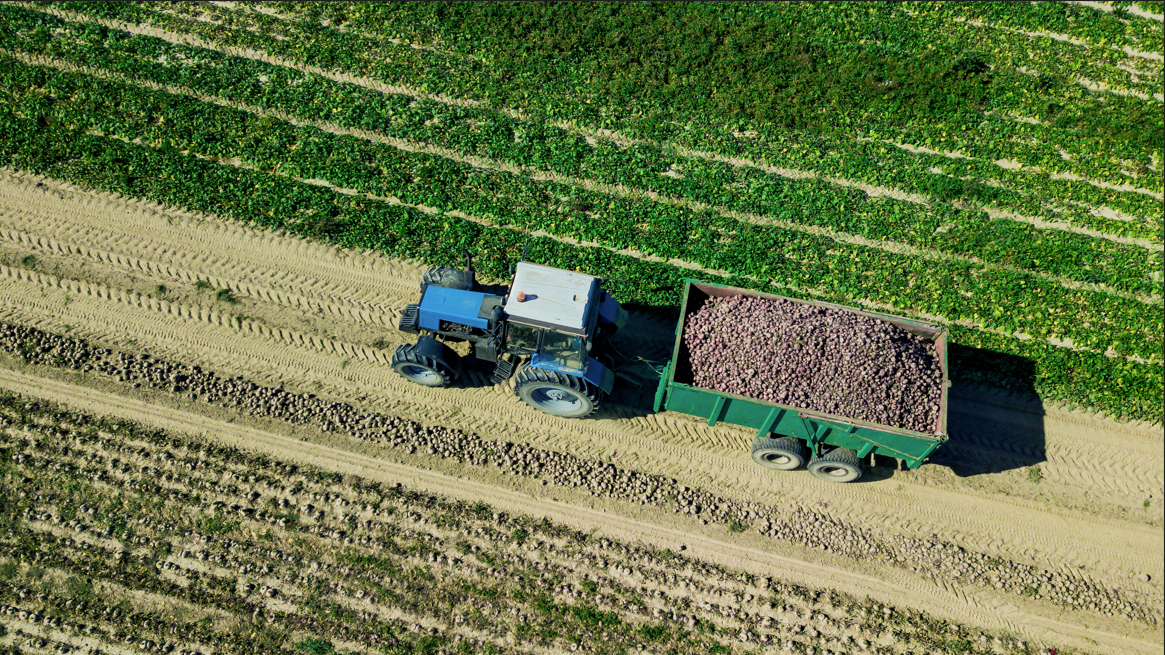 Agroindustria